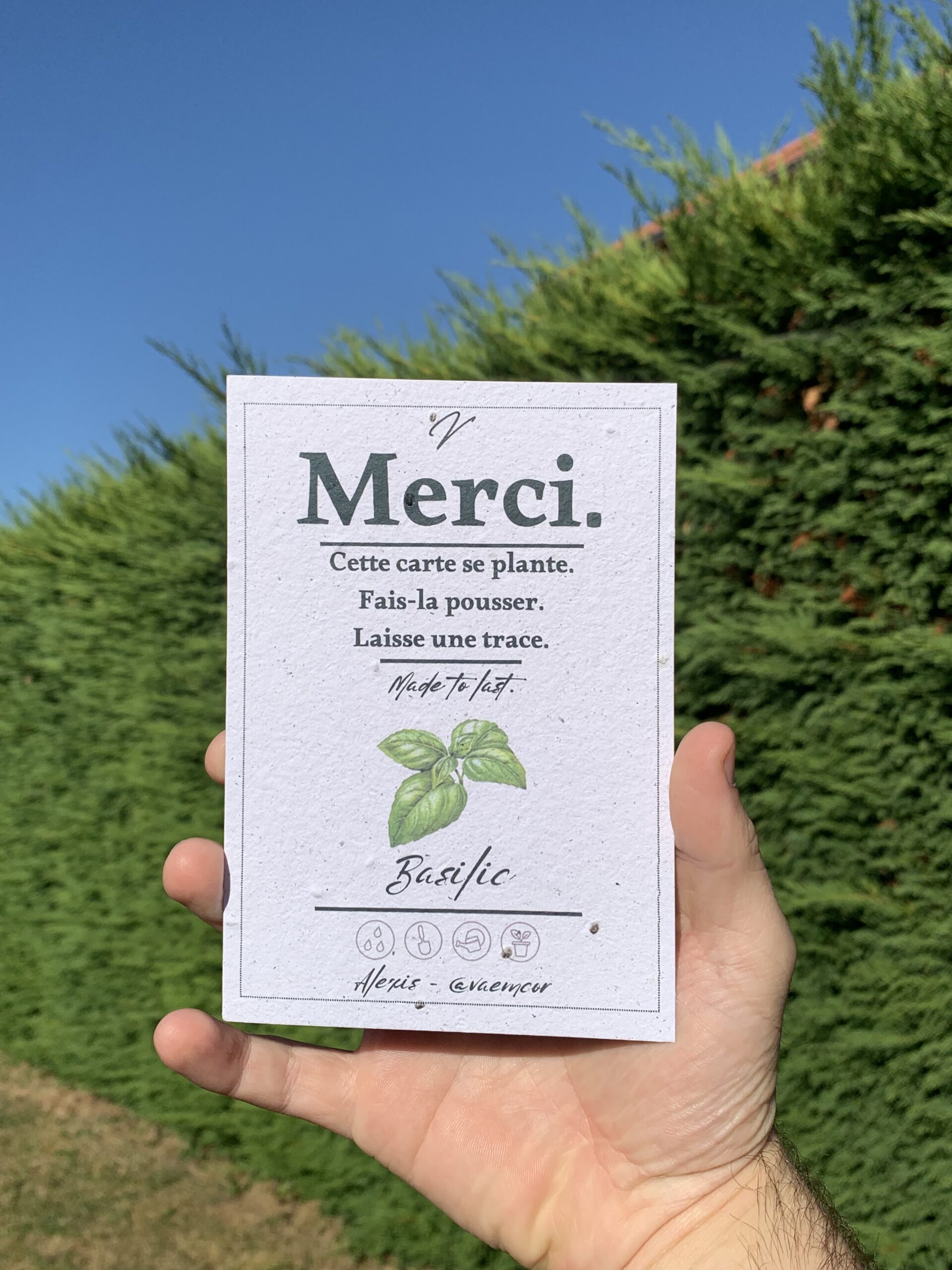 Détail · étiquette ensemencée